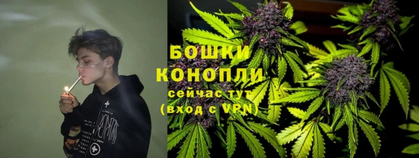 мяу мяу мука Абаза
